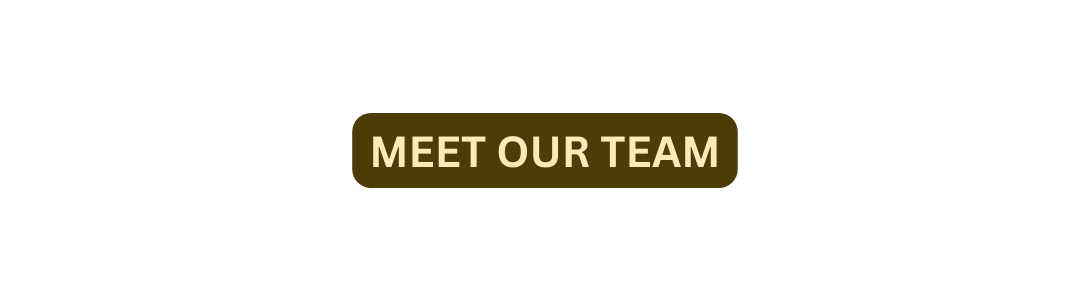 meet our team