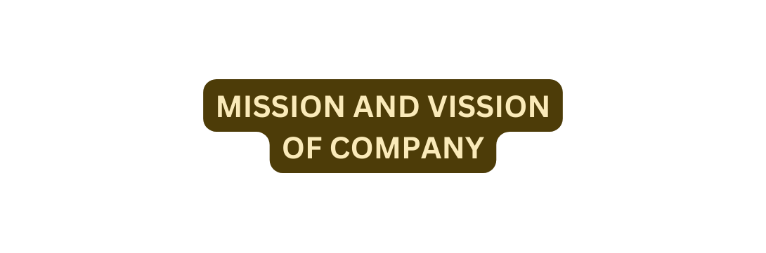 mission and vission of company